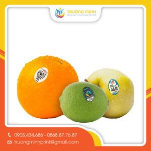 Decal nhựa dán hoa quả